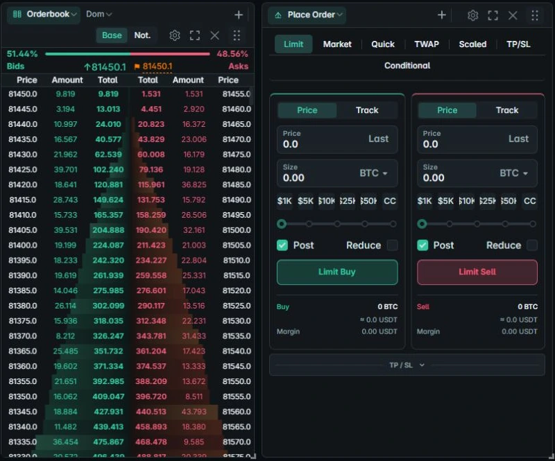 Order book and limit-order controls side by side in Schizo Terminal